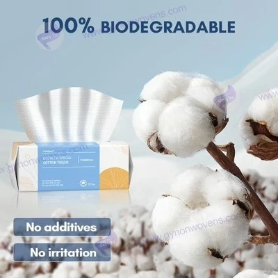 product-800-800 product-800-800